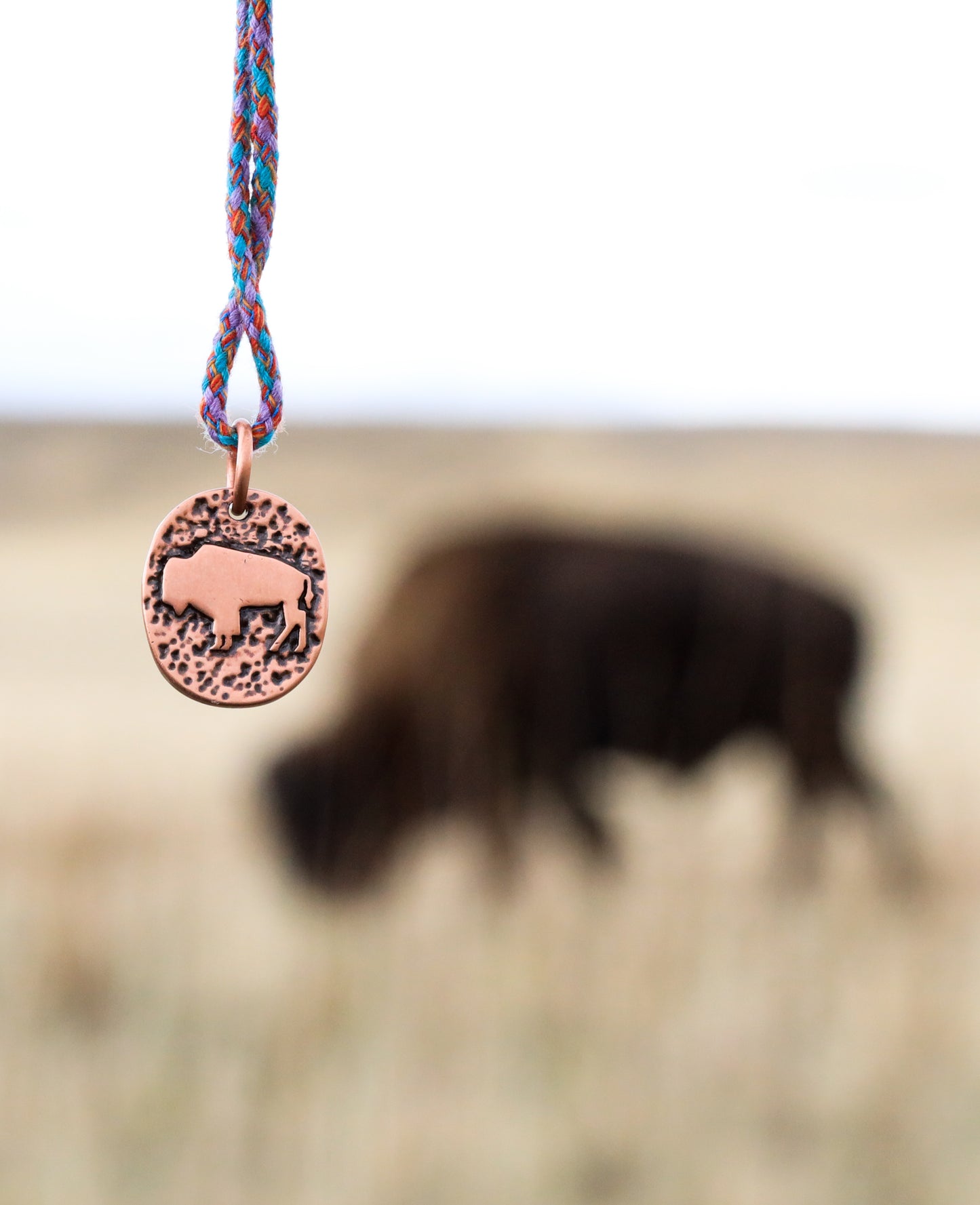 Buffalo Koord Rose